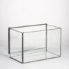 Handmade Rectangle Clear Glass Geometric Terrarium Box With Lid For Succulents Micro Landscape -Terrarium Plant Hub product image 497054588