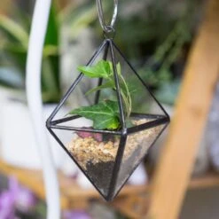 Handmade Small Black Hanging Class Geometric Glass Terrarium For Air Plants Moss 17 Handmade Small Black Hanging Class Geometric Glass Terrarium For Air Plants Moss -Terrarium Plant Hub product image 499872116