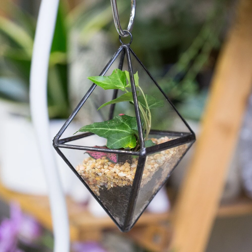 Handmade Small Black Hanging Class Geometric Glass Terrarium For Air Plants Moss 10 Handmade Small Black Hanging Class Geometric Glass Terrarium For Air Plants Moss - Image 8