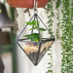Handmade Small Black Hanging Class Geometric Glass Terrarium For Air Plants Moss 12 Handmade Small Black Hanging Class Geometric Glass Terrarium For Air Plants Moss -Terrarium Plant Hub product image 499872128