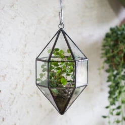 Handmade Hanging Cone Shape Glass Geometric Terrarium For Succulent Fern Moss -Terrarium Plant Hub product image 499880420