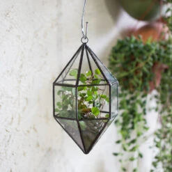 Handmade Hanging Cone Shape Glass Geometric Terrarium For Succulent Fern Moss -Terrarium Plant Hub product image 499880421