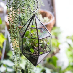 Handmade Hanging Cone Shape Glass Geometric Terrarium For Succulent Fern Moss -Terrarium Plant Hub product image 499880423