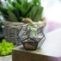 Handmade Mini Black Pentagon Glass Geometric Terrarium For Ring Box Moss -Terrarium Plant Hub product image 499881923