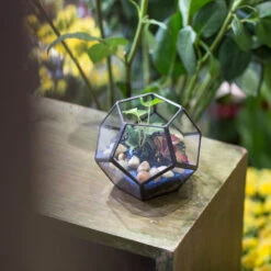 Handmade Mini Black Pentagon Glass Geometric Terrarium For Ring Box Moss -Terrarium Plant Hub product image 499881926