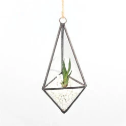 Handmade Hanging Mini Triangular Glass Geometric Terrarium For Fern Moss Succulent Airplants 27 Handmade Hanging Mini Triangular Glass Geometric Terrarium For Fern Moss Succulent Airplants -Terrarium Plant Hub product image 518666312