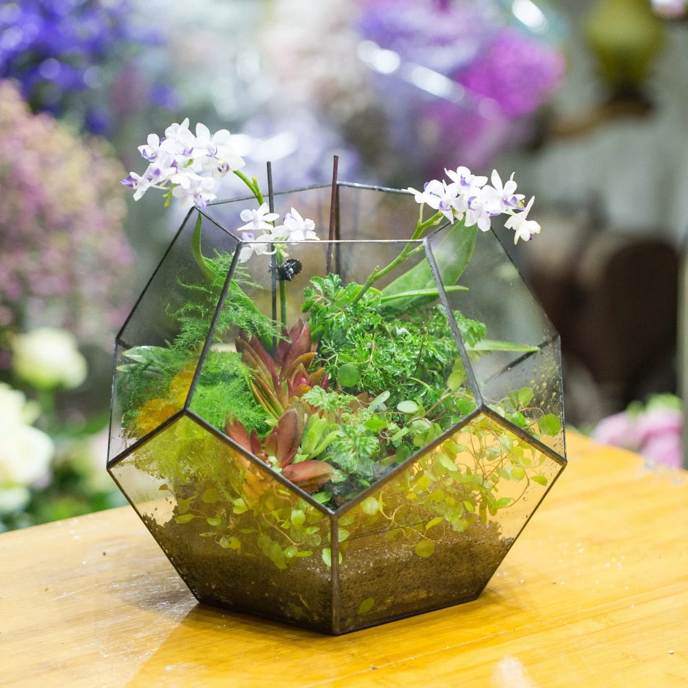 Handmade Extra Large Large Pentagon Glass Geometric Terrarium For Succulents Fern Moss Airplants 4 Handmade Extra Large Large Pentagon Glass Geometric Terrarium For Succulents Fern Moss Airplants - Image 2