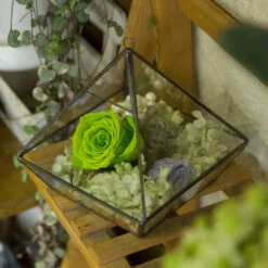 Handmade Hanging Glass Geometric Plant Container Terrariumfor Succulent Planter Fern Moss -Terrarium Plant Hub product image 550613356