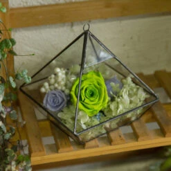 Handmade Hanging Glass Geometric Plant Container Terrariumfor Succulent Planter Fern Moss -Terrarium Plant Hub product image 550613357