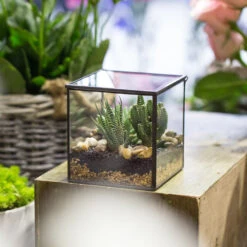 Handmade Square Glass Geometric Terrarium Box With Lid For Succulents Fern Moss -Terrarium Plant Hub product image 557154699