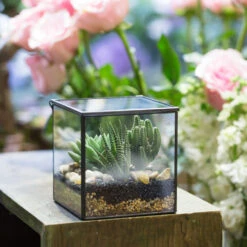 Handmade Square Glass Geometric Terrarium Box With Lid For Succulents Fern Moss -Terrarium Plant Hub product image 557154700