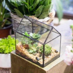 Handmade Black House Shape Glass Geometric Terrarium Wth Lid For Succulent Fern Moss Airplants -Terrarium Plant Hub product image 564595358
