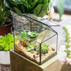 Handmade Black House Shape Glass Geometric Terrarium Wth Lid For Succulent Fern Moss Airplants -Terrarium Plant Hub product image 564595370