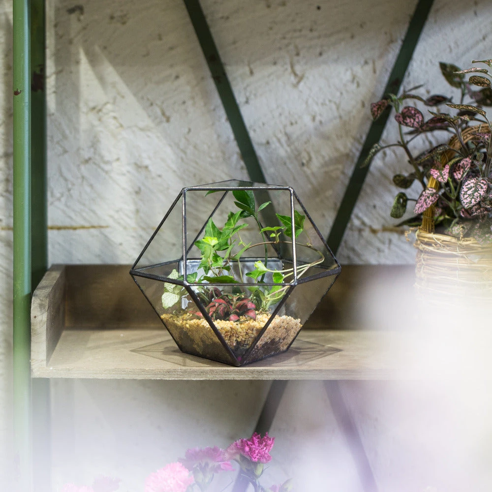 Handmade Glass Geometric Flower Terrarium Pot For Succulents Moss Fern Micro Landscape 11 Handmade Glass Geometric Flower Terrarium Pot For Succulents Moss Fern Micro Landscape - Image 9