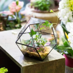 Handmade Glass Geometric Flower Terrarium Pot For Succulents Moss Fern Micro Landscape 27 Handmade Glass Geometric Flower Terrarium Pot For Succulents Moss Fern Micro Landscape -Terrarium Plant Hub product image 568044675