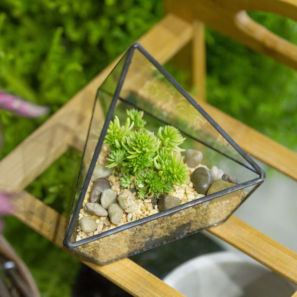 Handmade Geometric Flower Pot Small Glass Terrarium Pot For Container Balcony Garden Succulents 5 Handmade Geometric Flower Pot Small Glass Terrarium Pot For Container Balcony Garden Succulents - Image 3