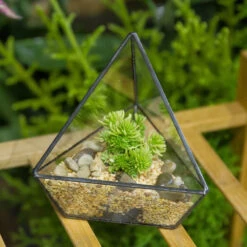 Handmade Geometric Flower Pot Small Glass Terrarium Pot For Container Balcony Garden Succulents 17 Handmade Geometric Flower Pot Small Glass Terrarium Pot For Container Balcony Garden Succulents -Terrarium Plant Hub product image 573788998