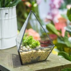 Handmade Geometric Flower Pot Small Glass Terrarium Pot For Container Balcony Garden Succulents 22 Handmade Geometric Flower Pot Small Glass Terrarium Pot For Container Balcony Garden Succulents -Terrarium Plant Hub product image 573788999