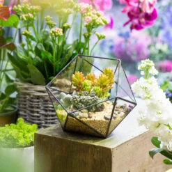 Handmade Bowl Shape Geometric Glass Terrarium For Garden Plants Succulents Moss Airplants -Terrarium Plant Hub product image 575616776