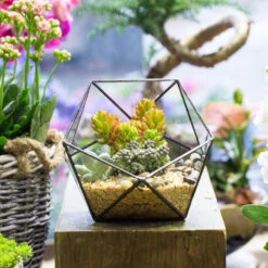 Handmade Bowl Shape Geometric Glass Terrarium For Garden Plants Succulents Moss Airplants -Terrarium Plant Hub product image 575616779