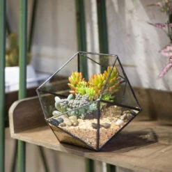 Handmade Bowl Shape Geometric Glass Terrarium For Garden Plants Succulents Moss Airplants -Terrarium Plant Hub product image 575616780