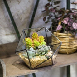 Handmade Bowl Shape Geometric Glass Terrarium For Garden Plants Succulents Moss Airplants -Terrarium Plant Hub product image 575616796