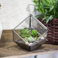 Handmade 10cm / 15cm Inclined Cube Glass Black Geometric Terrarium With Door For Succulent Moss -Terrarium Plant Hub product image 575619539