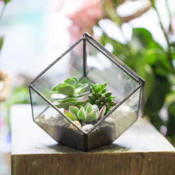 Handmade 10cm / 15cm Inclined Cube Glass Black Geometric Terrarium With Door For Succulent Moss -Terrarium Plant Hub product image 575619542