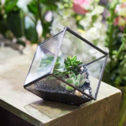Handmade 10cm / 15cm Inclined Cube Glass Black Geometric Terrarium With Door For Succulent Moss -Terrarium Plant Hub product image 575619544