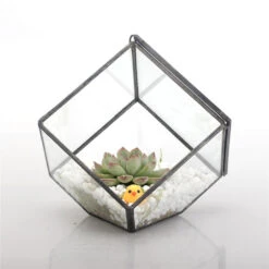 Handmade 10cm / 15cm Inclined Cube Glass Black Geometric Terrarium With Door For Succulent Moss -Terrarium Plant Hub product image 575619547
