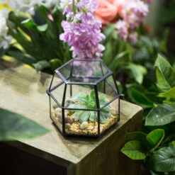 Handmade Small Glass Jewelry Geometric Box Terrarium For Succulents Ring Box 20 Handmade Small Glass Jewelry Geometric Box Terrarium For Succulents Ring Box -Terrarium Plant Hub product image 580459536