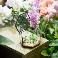 Handmade Small Glass Jewelry Geometric Box Terrarium For Succulents Ring Box 15 Handmade Small Glass Jewelry Geometric Box Terrarium For Succulents Ring Box -Terrarium Plant Hub product image 580459538