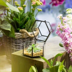 Handmade Small Glass Jewelry Geometric Box Terrarium For Succulents Ring Box 23 Handmade Small Glass Jewelry Geometric Box Terrarium For Succulents Ring Box -Terrarium Plant Hub product image 580459539
