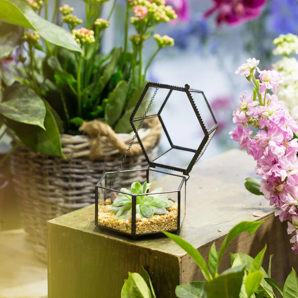 Handmade Small Glass Jewelry Geometric Box Terrarium For Succulents Ring Box 13 Handmade Small Glass Jewelry Geometric Box Terrarium For Succulents Ring Box - Image 11