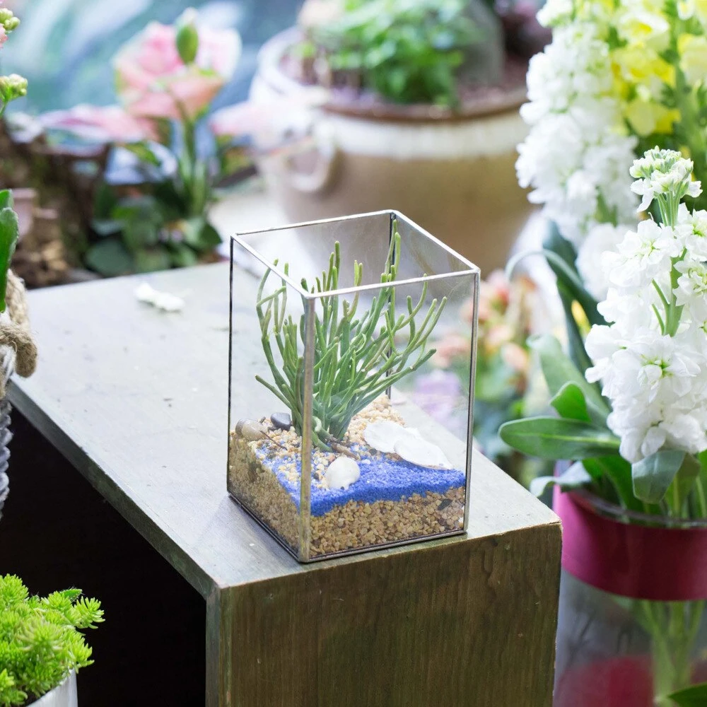 Handmade Silver Long Geometric Glass Terrarium For Succulents Moss Cacti Fern 5 Handmade Silver Long Geometric Glass Terrarium For Succulents Moss Cacti Fern - Image 3