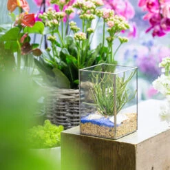 Handmade Silver Long Geometric Glass Terrarium For Succulents Moss Cacti Fern 11 Handmade Silver Long Geometric Glass Terrarium For Succulents Moss Cacti Fern -Terrarium Plant Hub product image 582216040