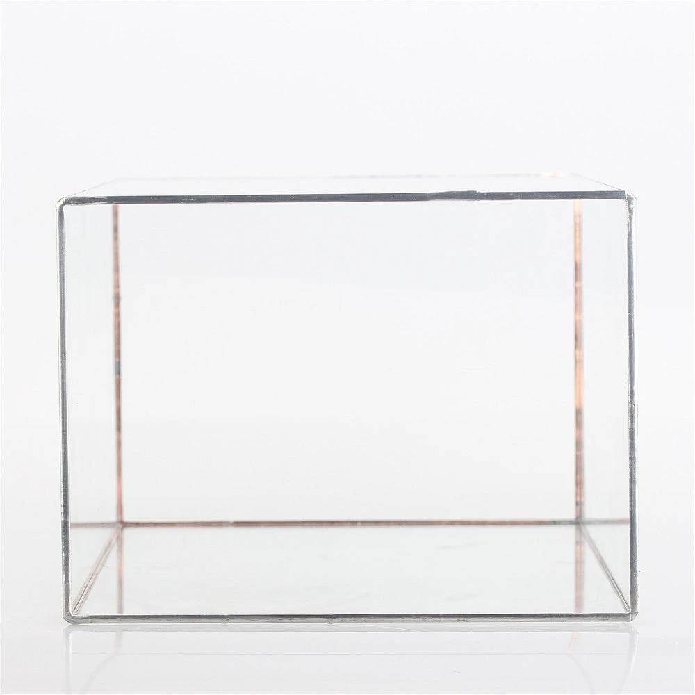 Handmade Silver Long Geometric Glass Terrarium For Succulents Moss Cacti Fern 10 Handmade Silver Long Geometric Glass Terrarium For Succulents Moss Cacti Fern - Image 8