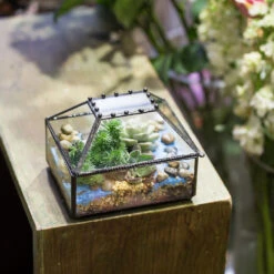 Handmade Small Jewelry Box Geometric Glass Terrarium With Cover For Airplants Succulents Moss Ring 20 Handmade Small Jewelry Box Geometric Glass Terrarium With Cover For Airplants Succulents Moss Ring -Terrarium Plant Hub product image 587489741