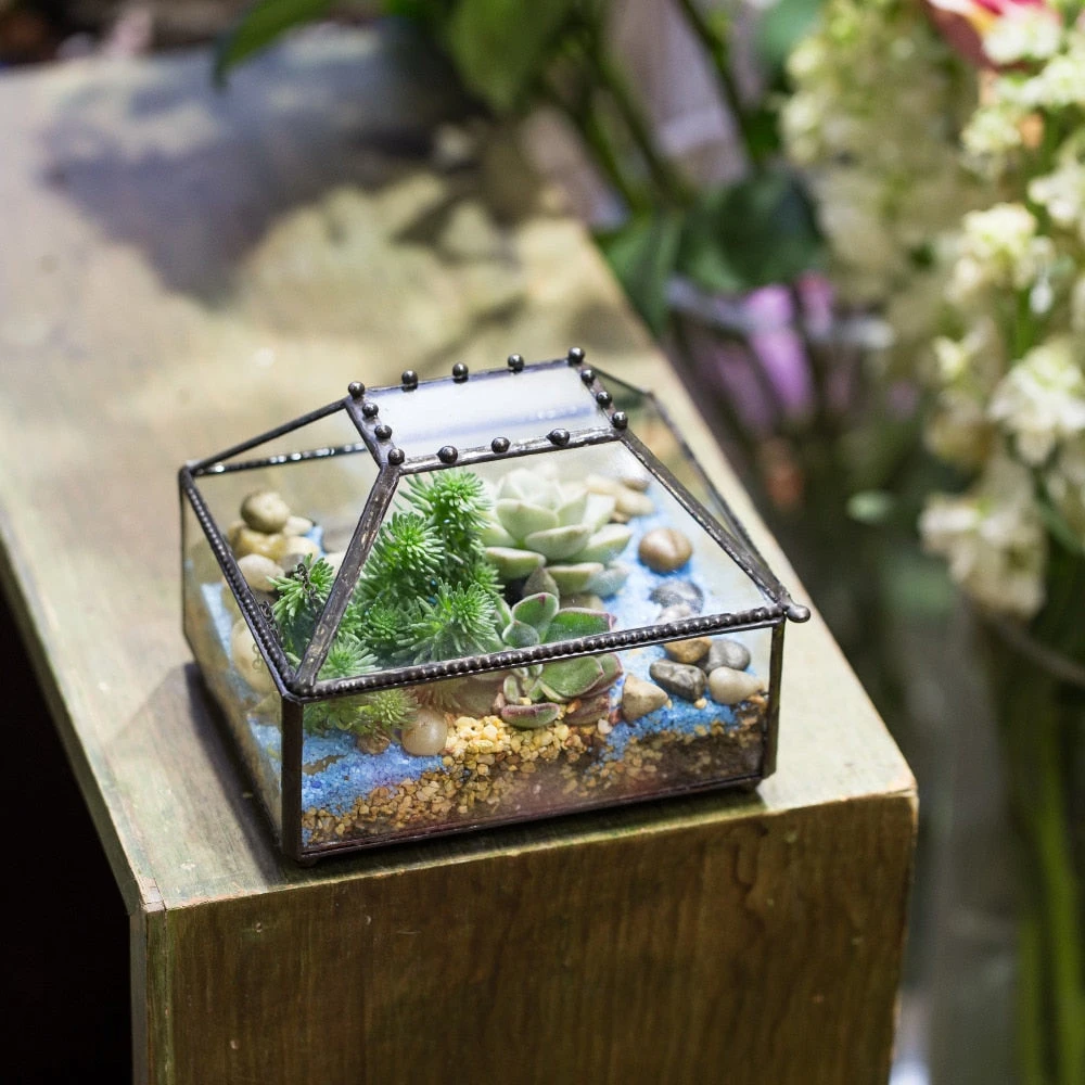 Handmade Small Jewelry Box Geometric Glass Terrarium With Cover For Airplants Succulents Moss Ring 10 Handmade Small Jewelry Box Geometric Glass Terrarium With Cover For Airplants Succulents Moss Ring - Image 8