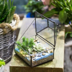 Handmade Small Jewelry Box Geometric Glass Terrarium With Cover For Airplants Succulents Moss Ring 23 Handmade Small Jewelry Box Geometric Glass Terrarium With Cover For Airplants Succulents Moss Ring -Terrarium Plant Hub product image 587489743