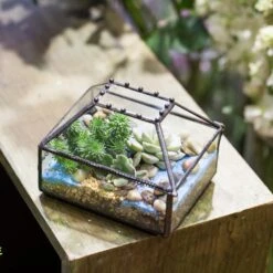 Handmade Small Jewelry Box Geometric Glass Terrarium With Cover For Airplants Succulents Moss Ring 22 Handmade Small Jewelry Box Geometric Glass Terrarium With Cover For Airplants Succulents Moss Ring -Terrarium Plant Hub product image 587489744
