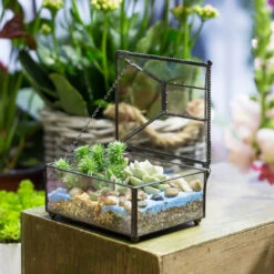 Handmade Small Jewelry Box Geometric Glass Terrarium With Cover For Airplants Succulents Moss Ring 21 Handmade Small Jewelry Box Geometric Glass Terrarium With Cover For Airplants Succulents Moss Ring -Terrarium Plant Hub product image 587489754