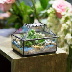 Handmade Small Jewelry Box Geometric Glass Terrarium With Cover For Airplants Succulents Moss Ring 17 Handmade Small Jewelry Box Geometric Glass Terrarium With Cover For Airplants Succulents Moss Ring -Terrarium Plant Hub product image 587489756