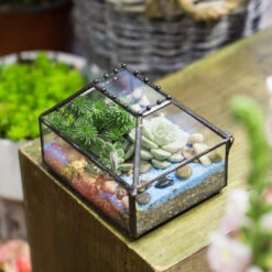 Handmade Small Jewelry Box Geometric Glass Terrarium With Cover For Airplants Succulents Moss Ring 19 Handmade Small Jewelry Box Geometric Glass Terrarium With Cover For Airplants Succulents Moss Ring -Terrarium Plant Hub product image 587489757