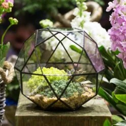 Handmade Triangular Pentagon Mix 32-Sides Clear Glass Geometric Centerpiece Terrarium For Succulents -Terrarium Plant Hub product image 594319584