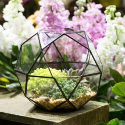 Handmade Triangular Pentagon Mix 32-Sides Clear Glass Geometric Centerpiece Terrarium For Succulents -Terrarium Plant Hub product image 594319591