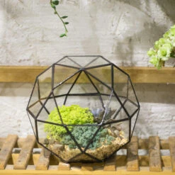 Handmade Triangular Pentagon Mix 32-Sides Clear Glass Geometric Centerpiece Terrarium For Succulents -Terrarium Plant Hub product image 594319615