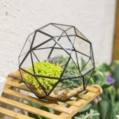 Handmade Triangular Pentagon Mix 32-Sides Clear Glass Geometric Centerpiece Terrarium For Succulents -Terrarium Plant Hub product image 594319617