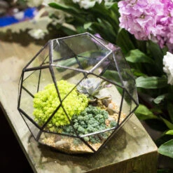 Handmade Triangular Pentagon Mix 32-Sides Clear Glass Geometric Centerpiece Terrarium For Succulents -Terrarium Plant Hub product image 594319619