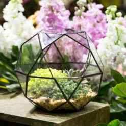 Handmade Triangular Pentagon Mix 32-Sides Clear Glass Geometric Centerpiece Terrarium For Succulents -Terrarium Plant Hub product image 594319620